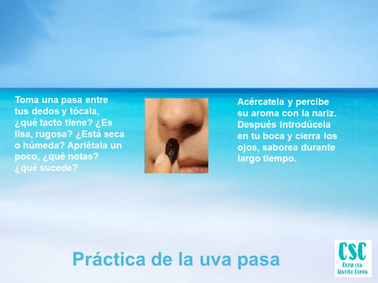 Mindfulness mamás Mindfulness mamás