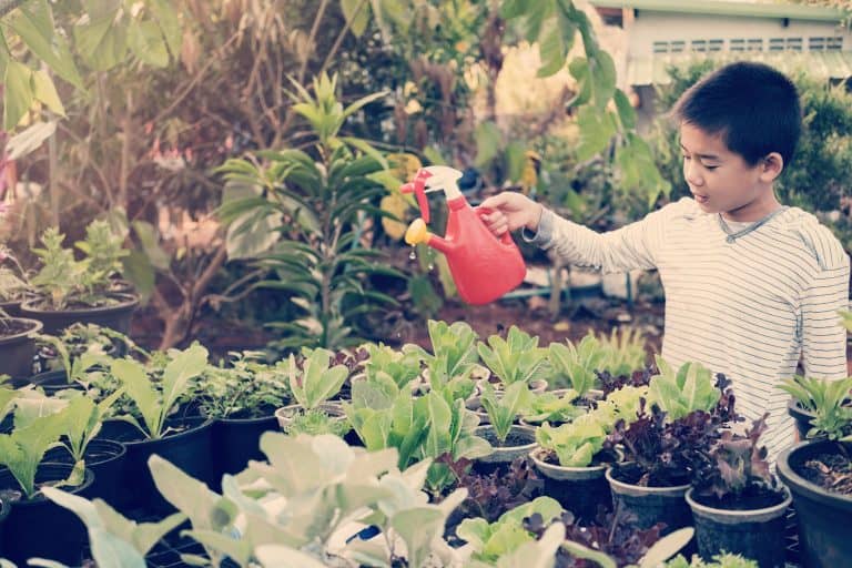 Montessori