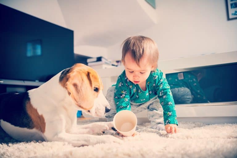 ¿Por qué desobedecen los niños?