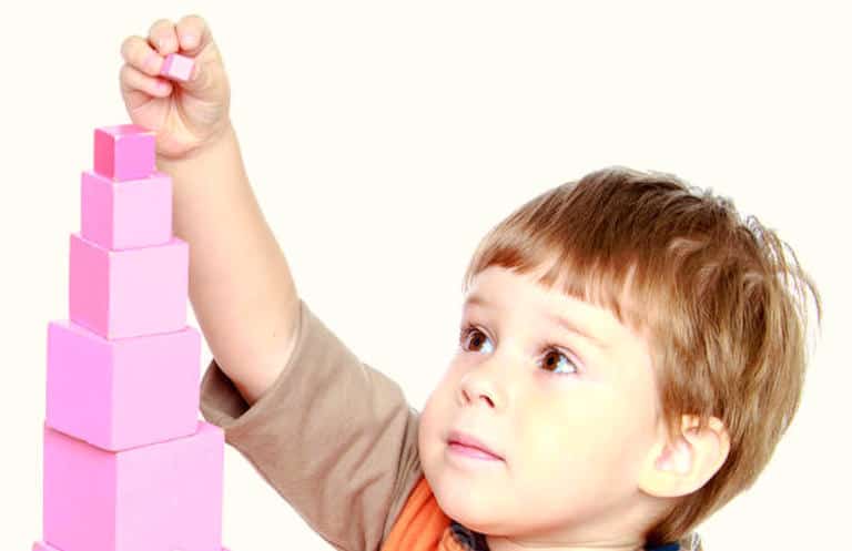 Torre Rosa Montessori