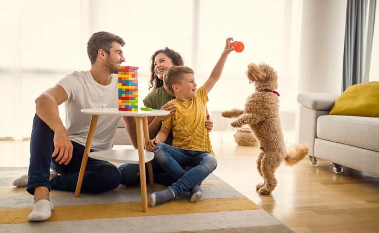 A qué edad se puede empezar a aplicar la disciplina positiva