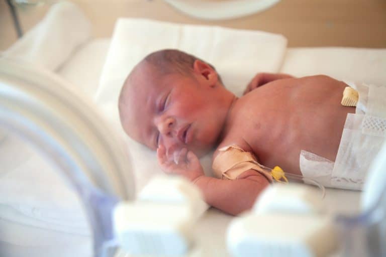 desarrollo cognitivo de los bebés prematuros Retos en el desarrollo cognitivo de los bebés prematuros