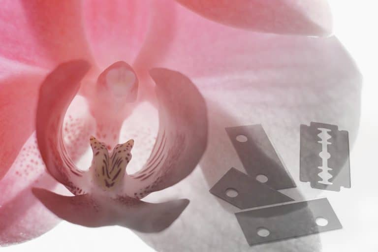mutilación genital femenina Día Mundial de Tolerancia Cero a la Mutilación Genital Femenina