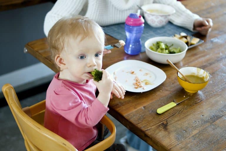 nitratos Qué son los nitratos y por qué no debería consumirlos tu bebé