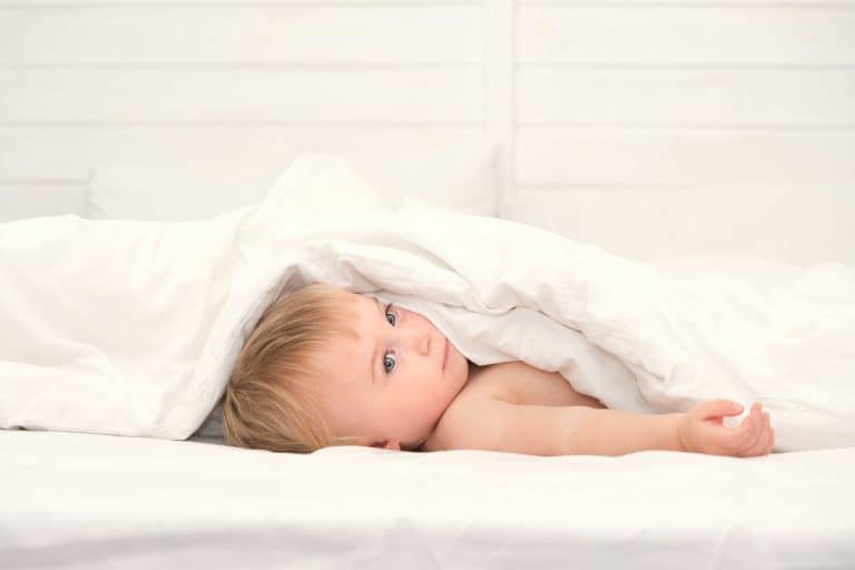 el metabolismo de los niños ¿Cómo funciona el metabolismo de los niños?