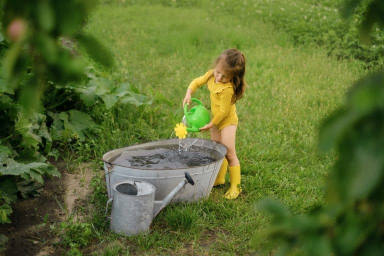 Cuentos para concienciar a los niños sobre la sequía Cuentos para concienciar a los niños sobre la sequía y la desertificación