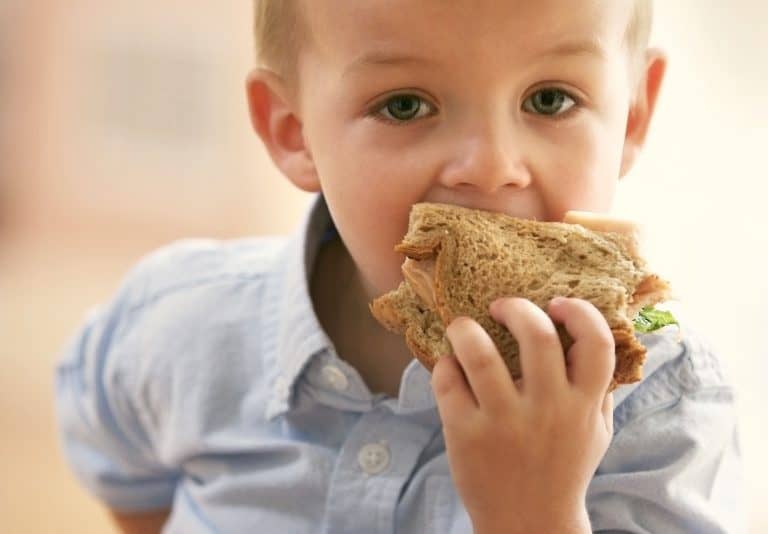 Meriendas saludables para niños para llevar