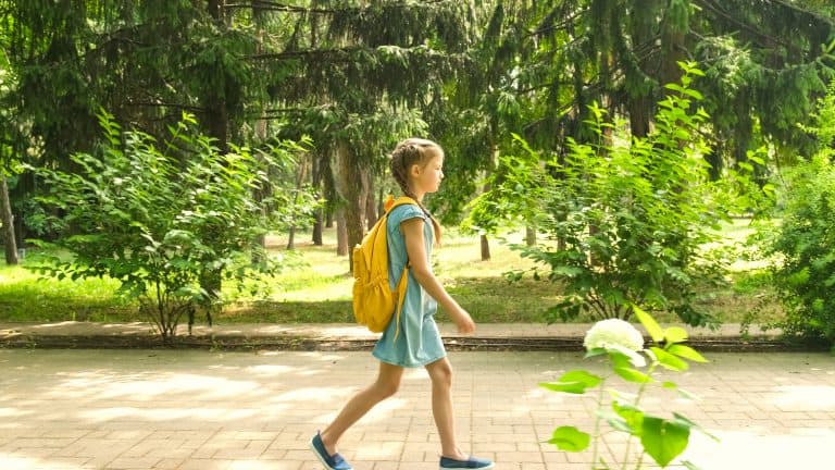 ruido del tráfico en los colegios El ruido del tráfico en los colegios afecta al aprendizaje escolar