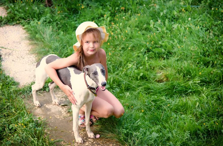 Galgos y niños: ¿Cómo es tener un galgo en casa?