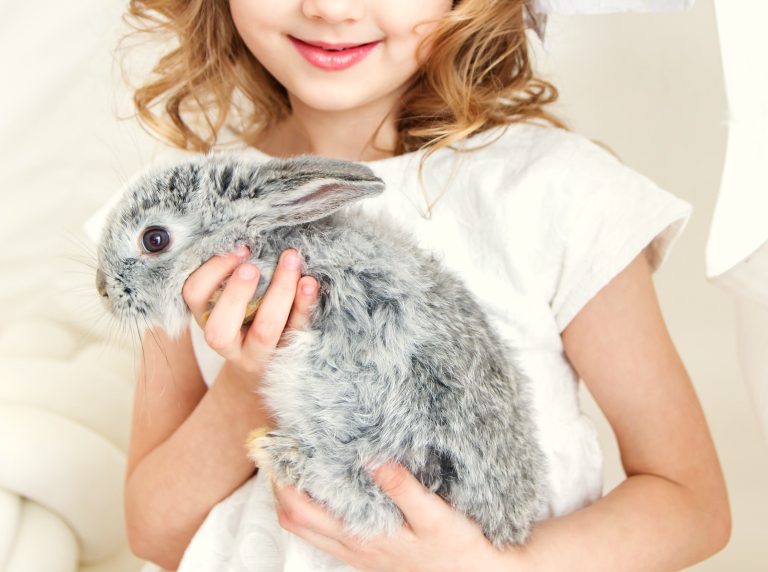amor a los animales Cómo inculcar a los niños respeto y amor a los animales