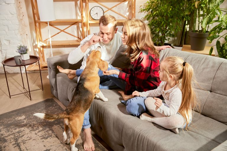 Perros y gatos previenen alergias alimentarias en bebés y niños