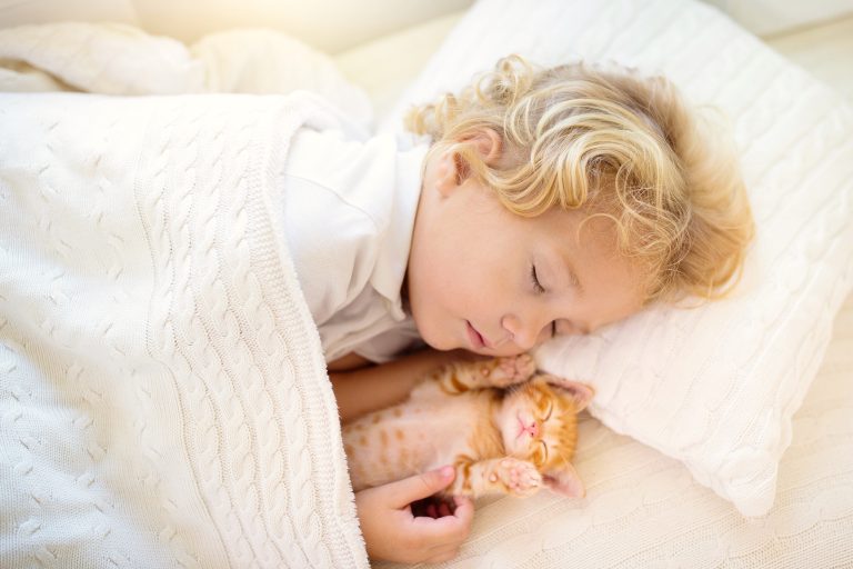 Perros y gatos previenen alergias alimentarias en bebés y niños