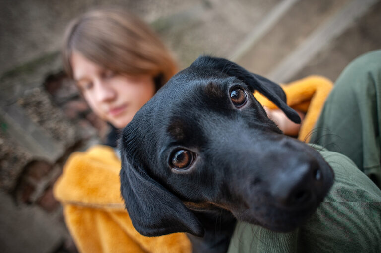 Perros combaten el abandono escolar entre adolescentes