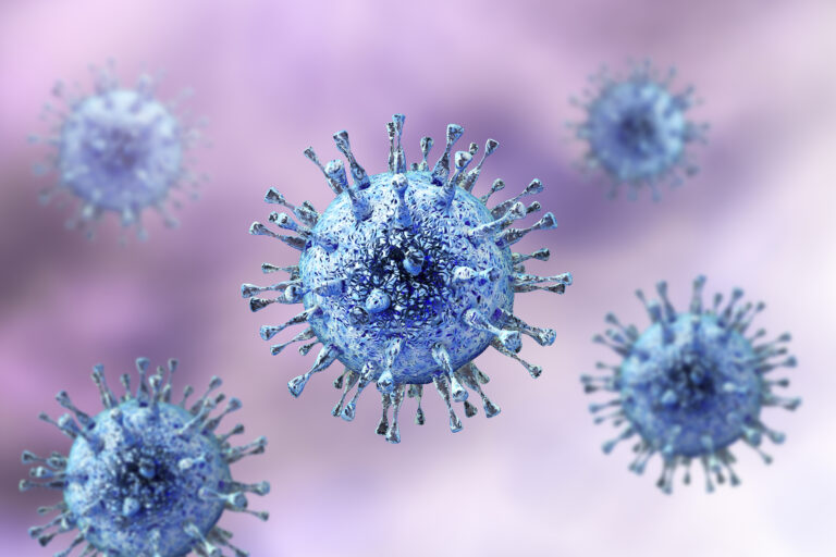 Citomegalovirus La exposición antes del embarazo a virus protege al bebé