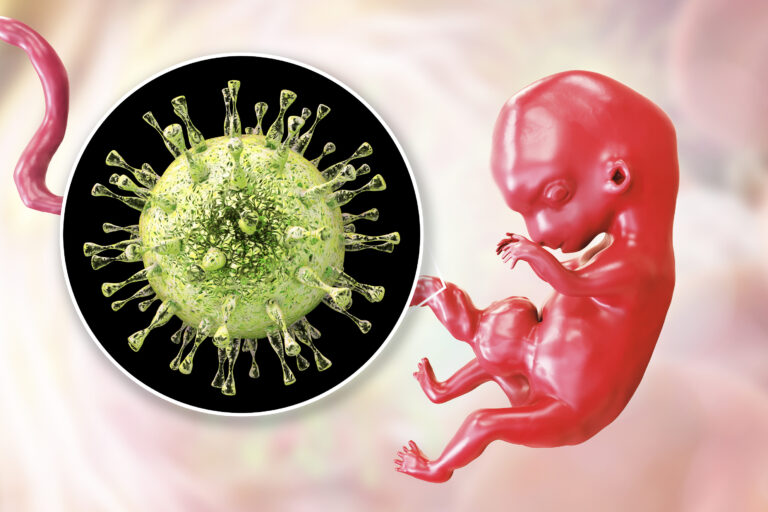 Citomegalovirus La exposición antes del embarazo a virus protege al bebé