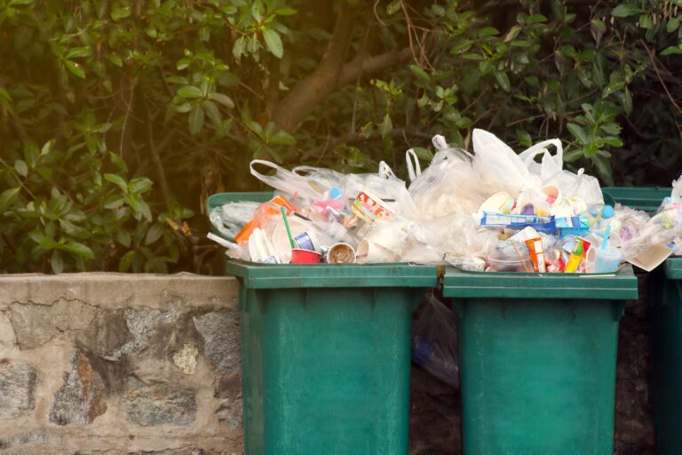 6 Tips para minimizar el daño de los juguetes al medioambiente