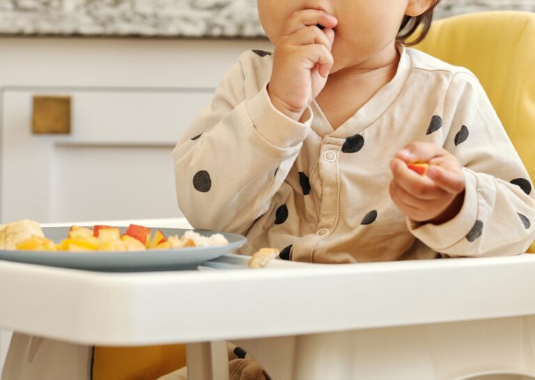La regla de los 5 segundos si la comida cae al suelo