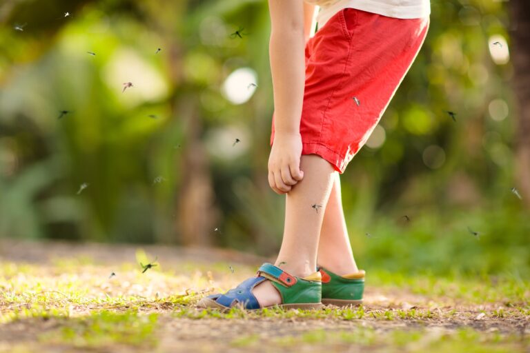 vacuna dengue ¿Te vas de vacaciones? Así funciona la vacuna contra el dengue y en qué casos es recomendable si viajáis en familia